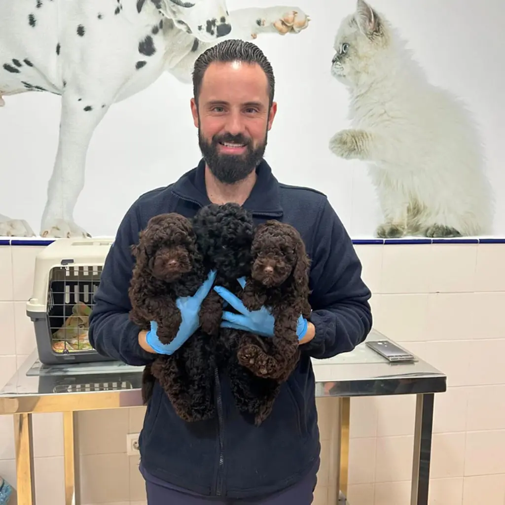 atención veterinaria